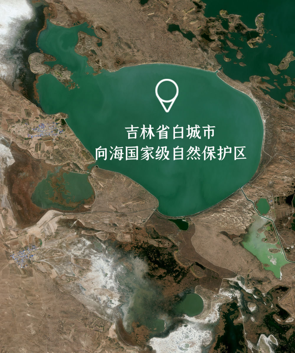这是“吉林一号”卫星在太空中拍摄的吉林省白城市向海国家级自然保护区俯瞰图。（长光卫星技术股份有限公司供图）