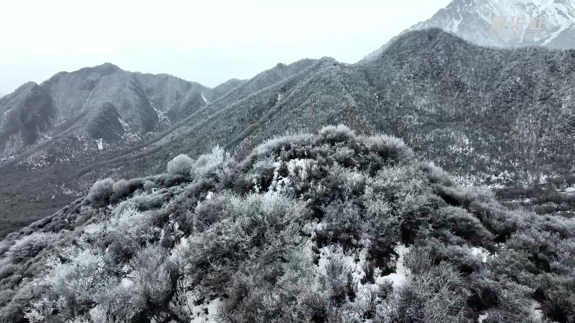 青海湟中：在群加国家森林公园邂逅冬日美景