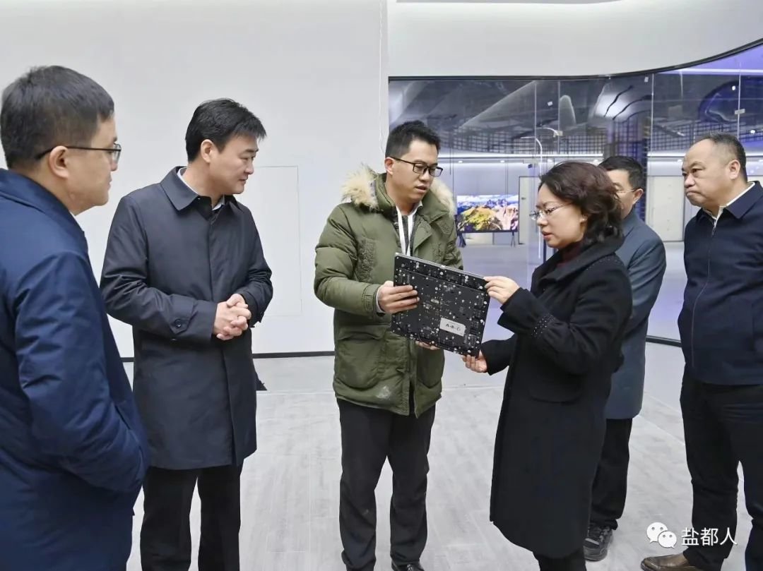 盐城副市长王娟:强化要素保障,助推项目提质增效!凤凰网江苏_凤凰网