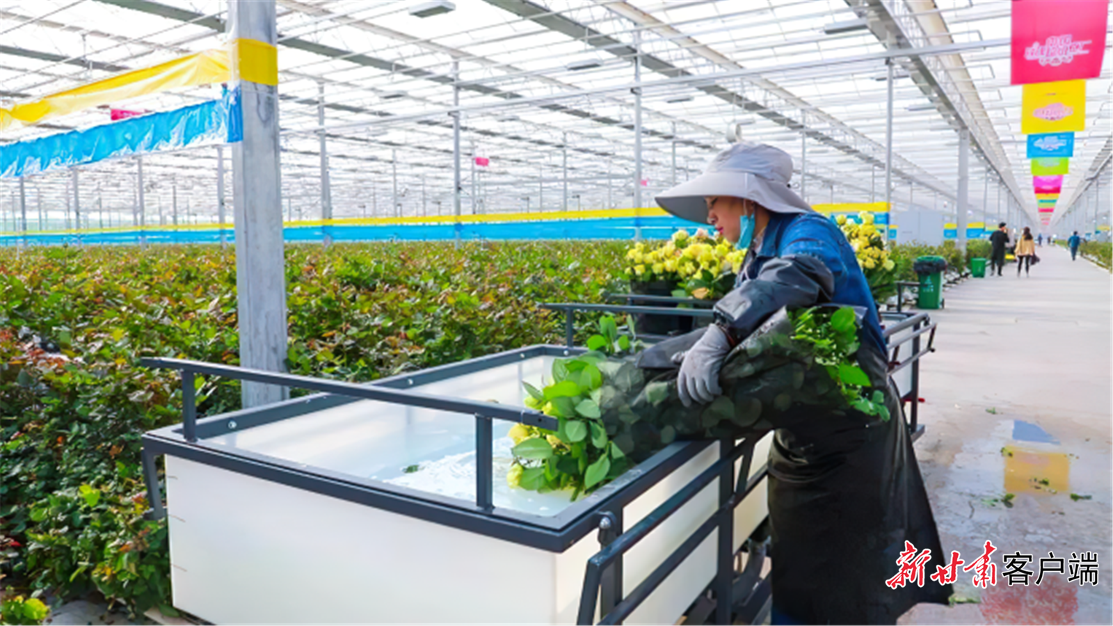 科技激发“新”动能 临夏“花”经济势头正盛