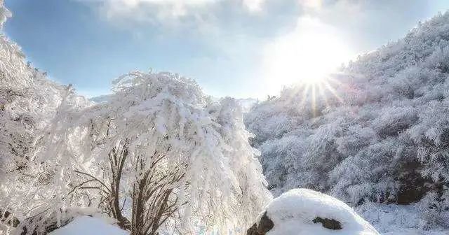 啊，真香！热辣爽口的陇南美食一秒拯救你的胃