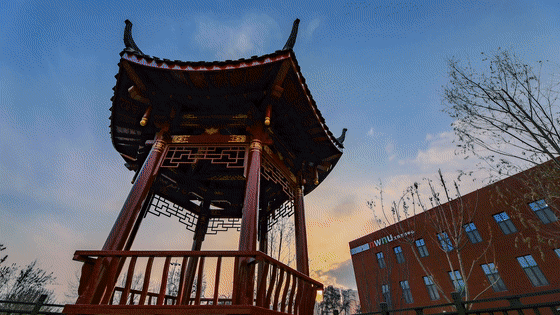 西北师大120岁啦！校庆宣传片《长河振铎》出炉