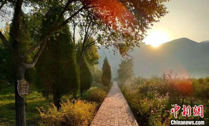 图为市民李斌煜晨练拍摄的采煤沉陷区修复后的照片。(资料图) 受访者供图