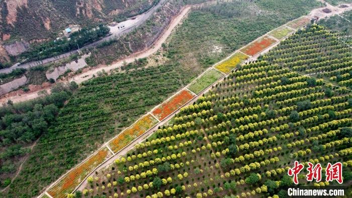 兰州红古探绿“工业+文旅”：采煤沉陷区成居民“后花园”