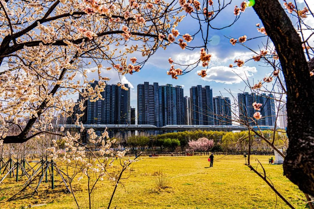 开往春天 霍春光摄