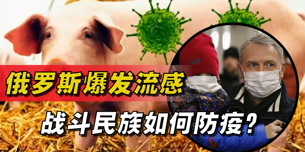 “阳了”怎么办？俄罗斯猪流感爆发 战斗民族防疫有何值得借鉴？_凤凰网视频_凤凰网