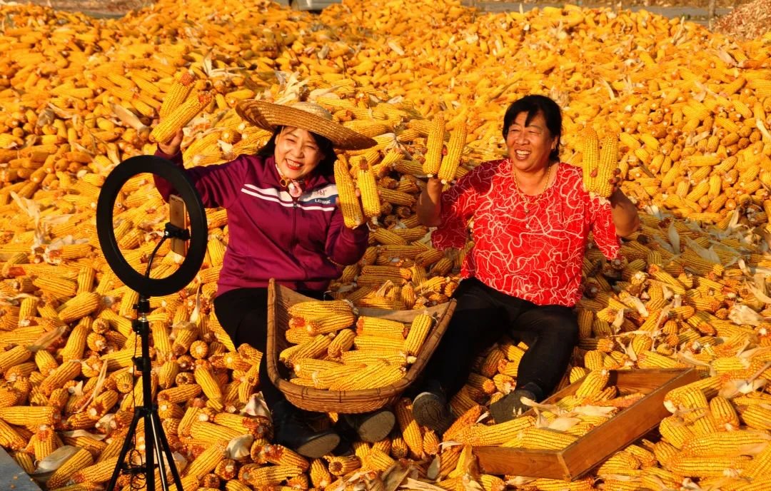 现场直播 谢晓辉摄