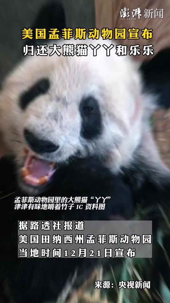 美国<em>孟</em><em>菲</em><em>斯</em>动物园宣布归还大熊猫丫丫和乐乐