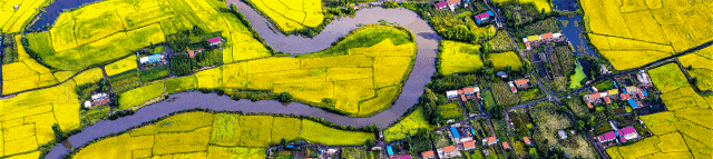 经历疫情大考，看北国“春城”如何逆袭