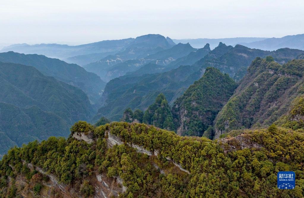 七姊妹山国家级自然保护区位于湖北省恩施土家族苗族自治州宣恩县境内