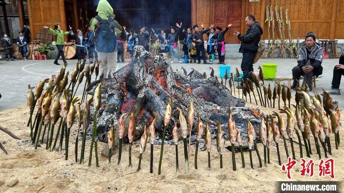 苗族民族在火堆旁烤鱼作为百家宴菜品 梁强 摄