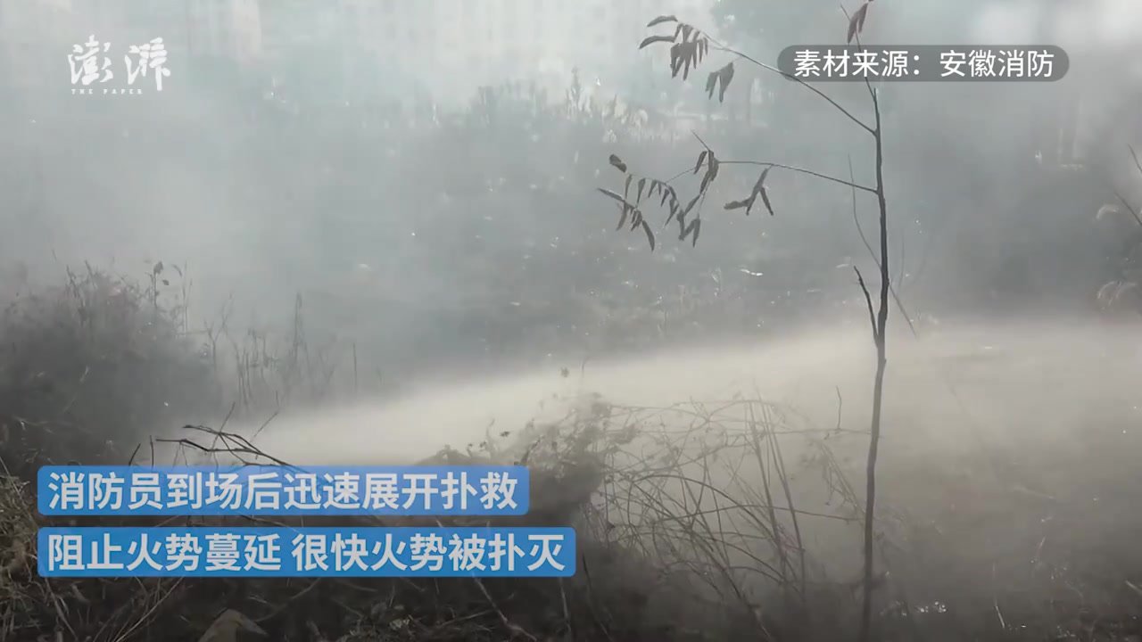 熊孩子玩火引燃草丛,消防火速扑救_凤凰网视频_凤凰网
