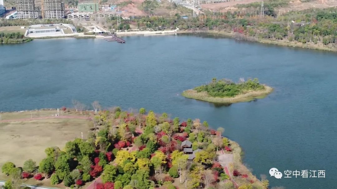 萍乡萍水湖湿地公园图片