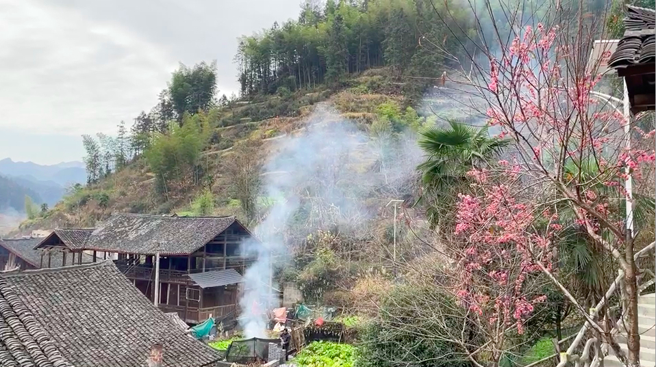 学而思“学家优品”湖南城步首次专场带货,推荐好物助力乡村振兴