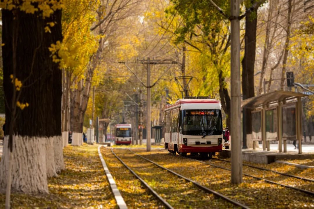 穿越四季之秋 李雪松摄