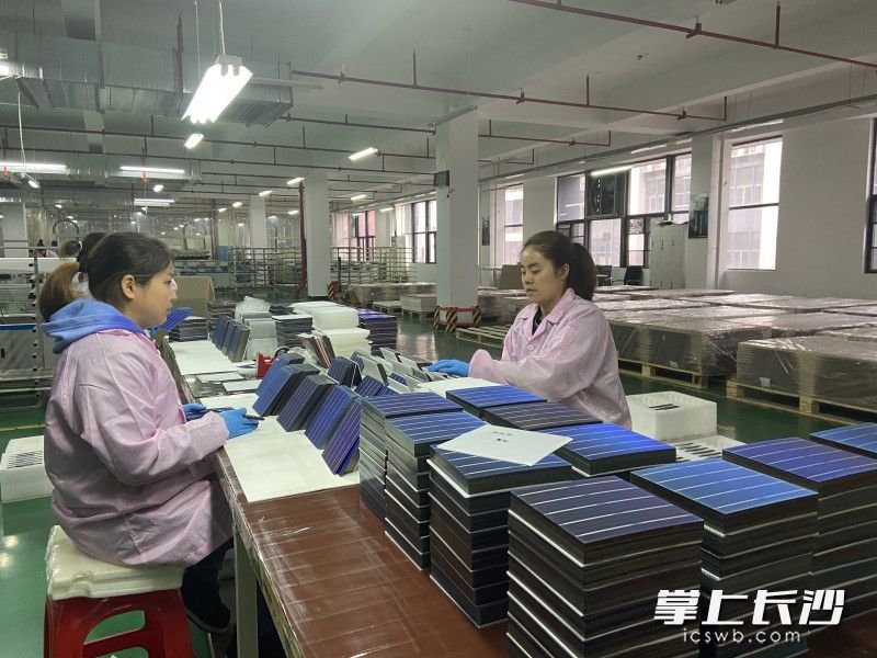 位于宁乡高新区的湖南诺诚光伏科技有限公司,今年订单增长了300%。长沙晚报全媒体记者 周斌 摄