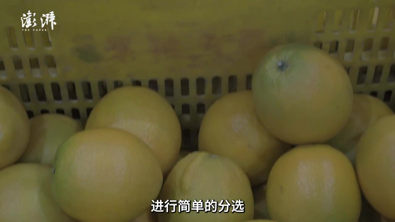 数字中国看江西｜赣州：“黑科技”赋能赣南脐橙产业链