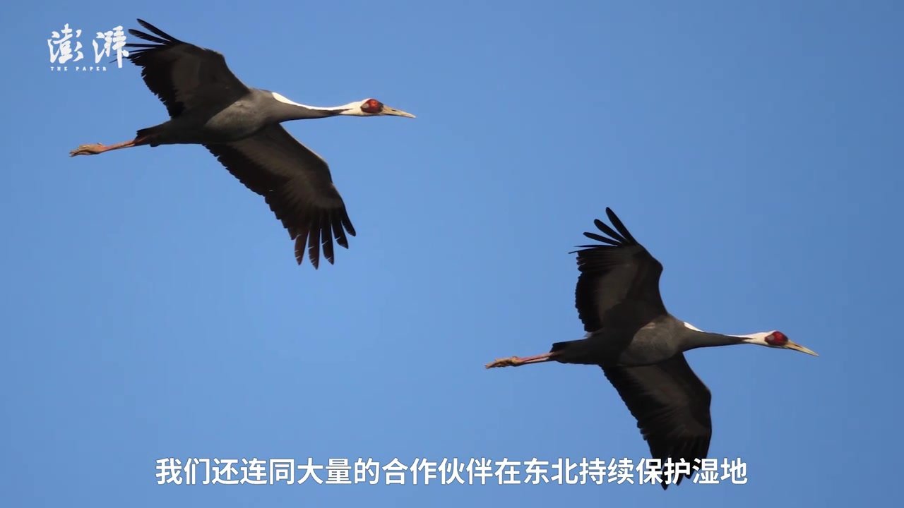 中国企业代表伊利COP15大会发言：保护生物多样性，企业要积极行动