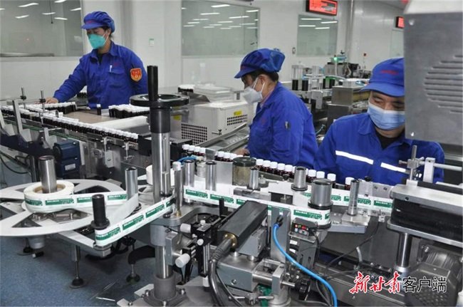 多地热门药品缺货断货 甘肃药企开足马力满负荷生产