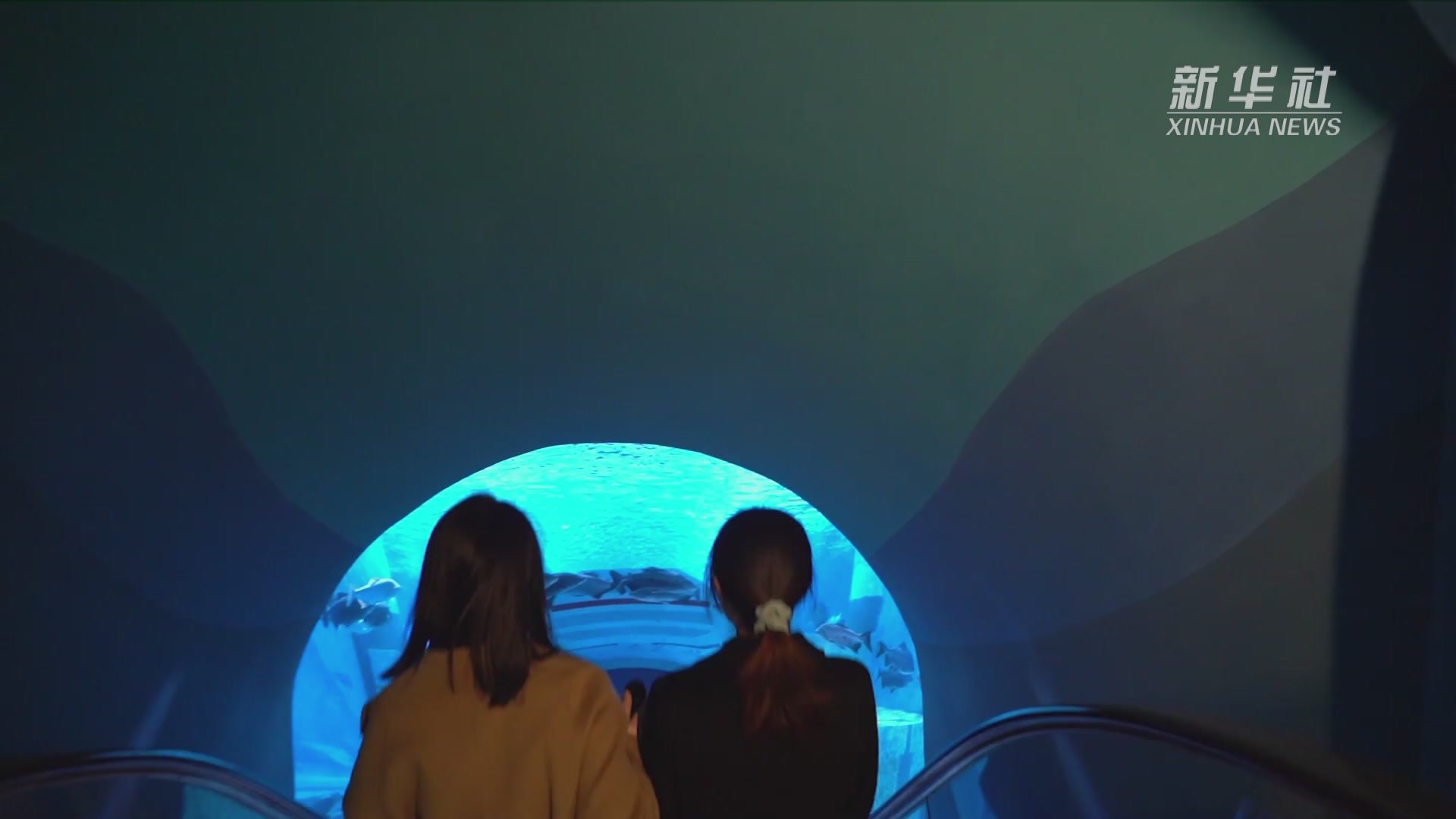 探访长江鄱阳湖水生生物保护基地