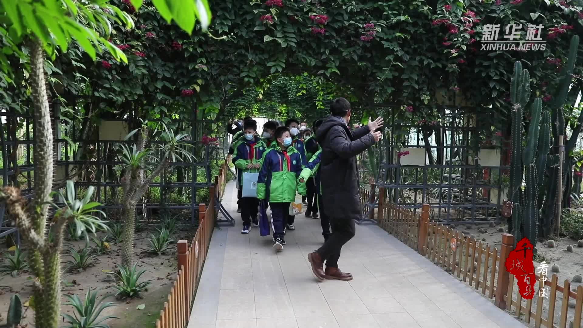千城百县看中国｜河北保定：小学生农业基地研学收获满满