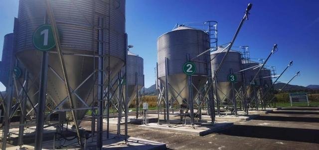 这是吉林市桦甸市国发万头肉牛养殖基地内，已经安装完成的现代化饲料发酵罐。新华社记者张博宇摄