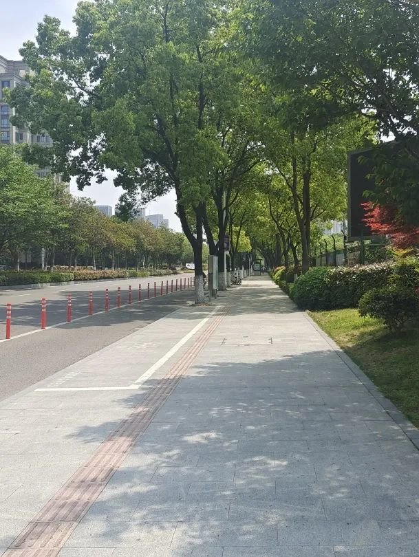 创建全国文明典范城市丨宁波最美人行道评选开启你喜欢哪条