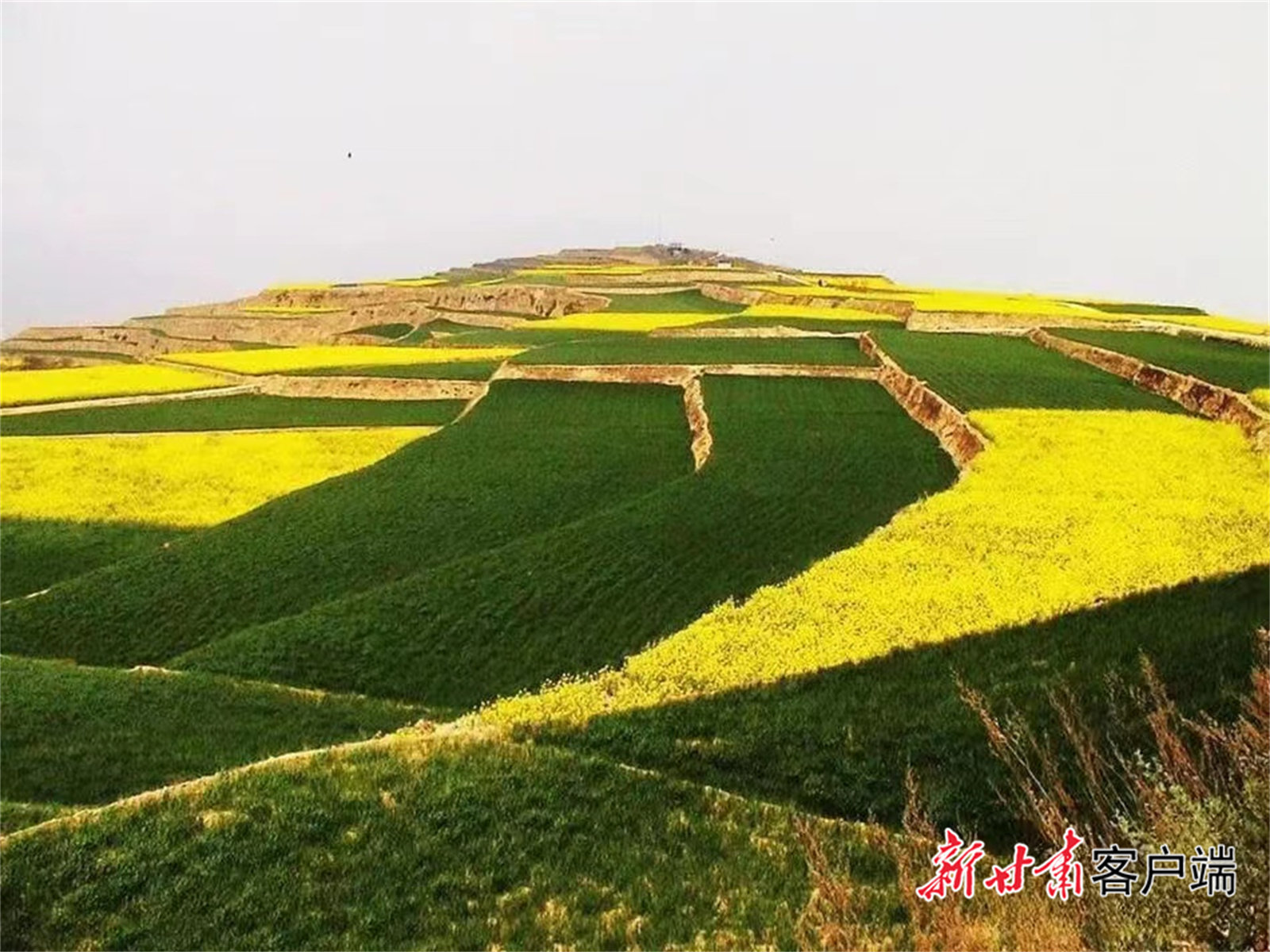 天水秦州入选国家水土保持示范县