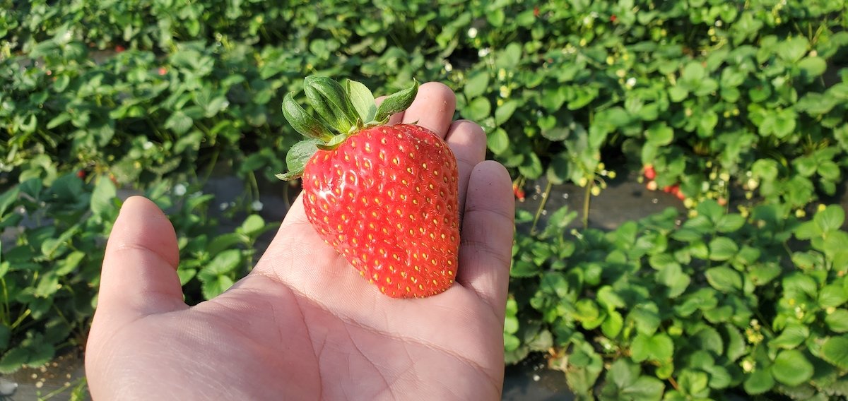 欢乐迎新年 遇“健”小珠山｜山魈、狒狒、马来熊来青 入住动物世界