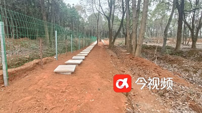 已经建好的两排存放骨灰盒的简易墓穴