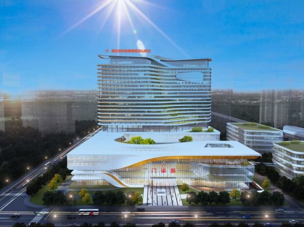 省妇幼保健院洪山院区规划图。