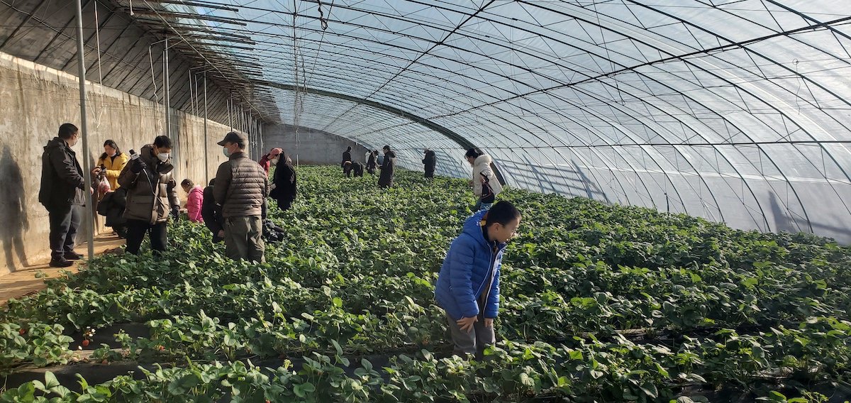 欢乐迎新年 遇“健”小珠山｜山魈、狒狒、马来熊来青 入住动物世界