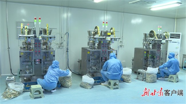 多地热门药品缺货断货 甘肃药企开足马力满负荷生产