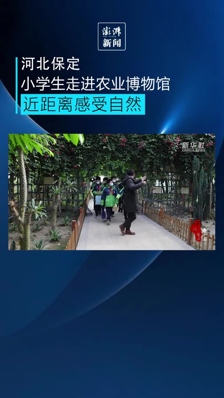 河北保定小学生去农业基地研学，收获满满