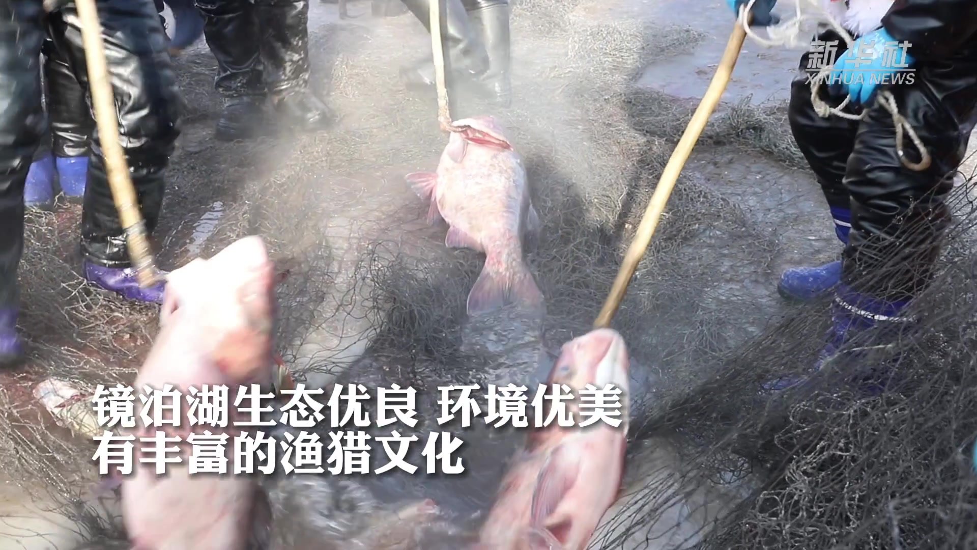23.8万斤!感受镜泊湖冬捕大典盛况_凤凰网视频_凤凰网