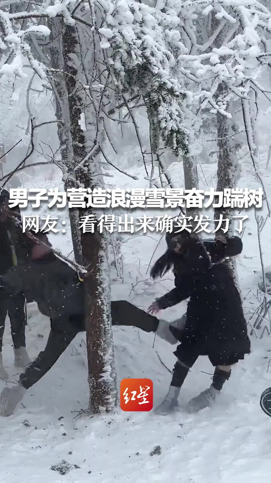 男子为营造浪漫雪景奋力踹树 网友：看得出来确实发力了