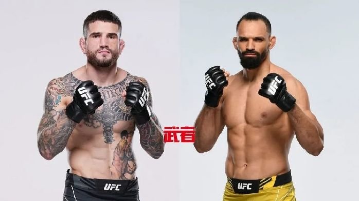 3月26日UFC：肖恩·布雷迪vs米歇尔·<em>佩雷拉</em>