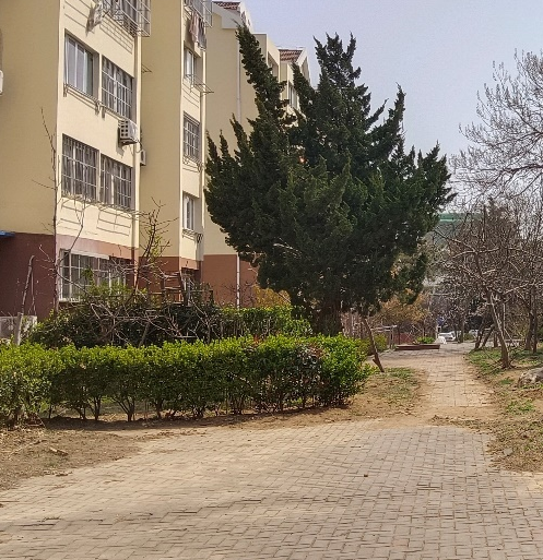 青岛城市空间微更新在行动！强化设计引领，实现品质跃升