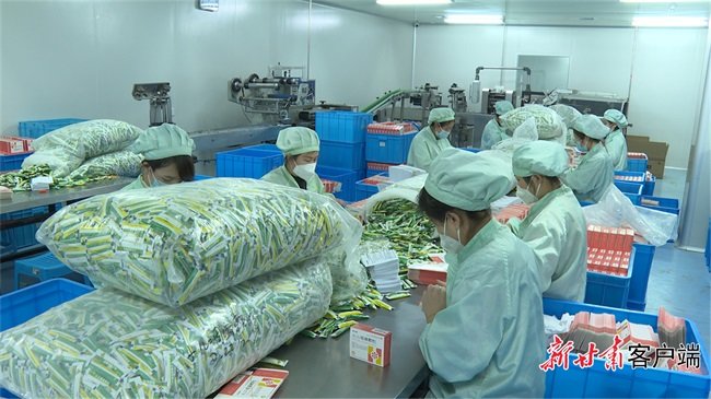 多地热门药品缺货断货 甘肃药企开足马力满负荷生产