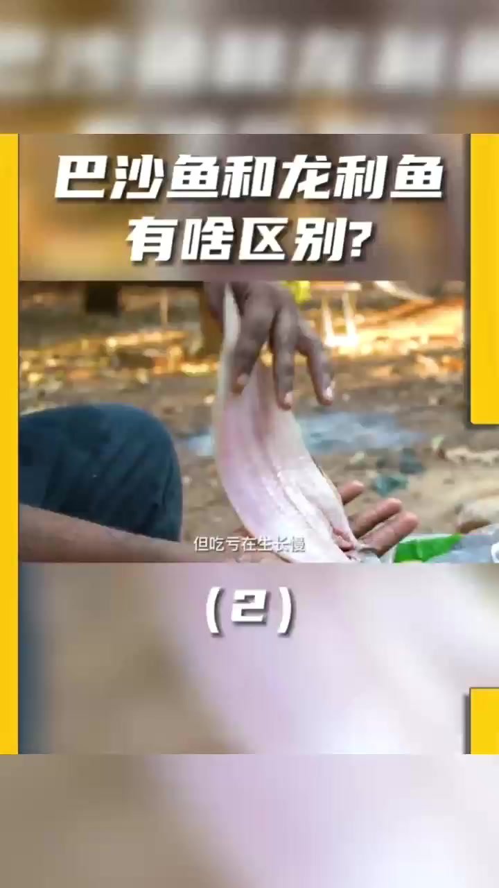 巴沙鱼为啥这么便宜？ 龙利鱼和巴沙鱼有啥区别？