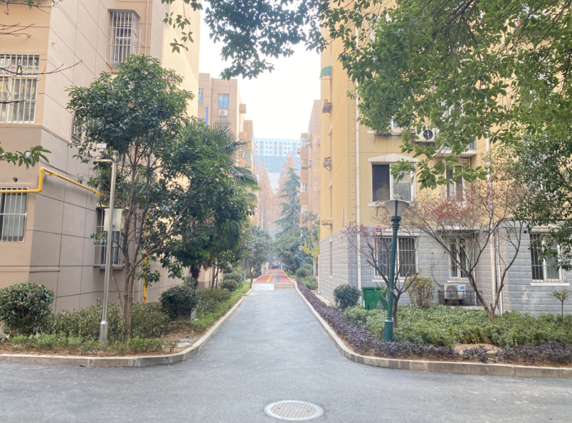 道路改造后
