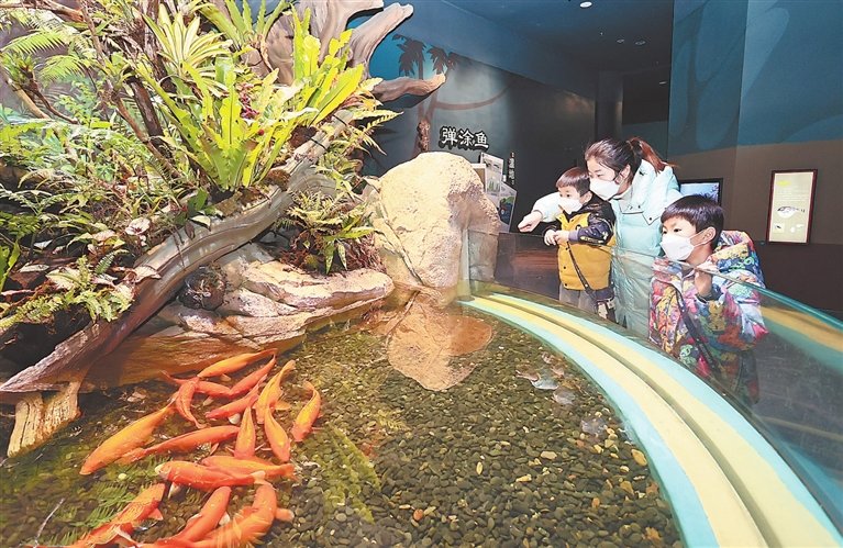 本报全媒体记者 洪子波摄1月2日，市民在湖口县长江鄱阳湖水生生物保护中心参观游玩，乐享假期时光。通讯员 吴 江摄