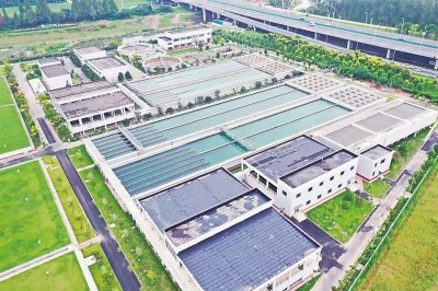 建成新武湖水厂配套管网38公里，改造前川及南部地区老旧供水管网10公里，解决南部地区供水难问题。启动北部水厂集并及改造工程，全区供水“一张网”稳步推进。