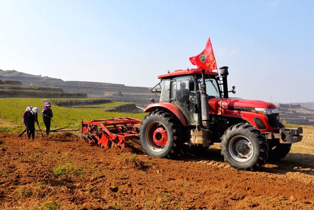 机械化采收中药材 陇西县委宣传部供图