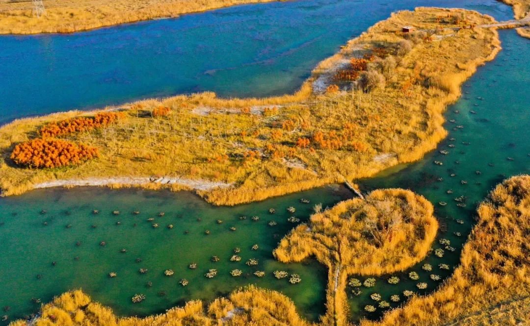 ↑2022年11月7日，甘肃张掖黑河湿地国家级自然保护区内景色宜人，是初冬时节人们游览的好去处。