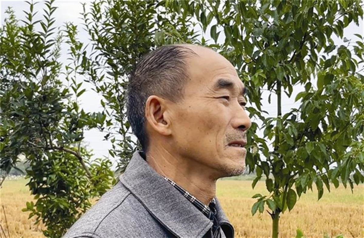 "信义老农"陈廷海 16年还清百万债务凤凰网湖北_凤凰网