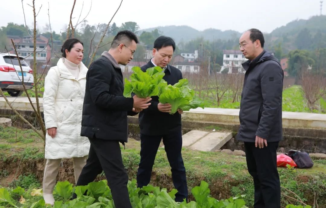 云龙镇书记图片