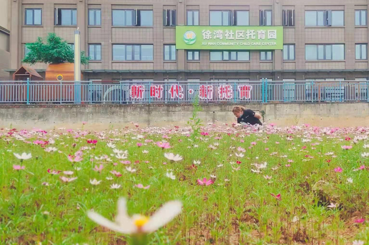 徐湾社区的一片闲置空地被改造成花海。