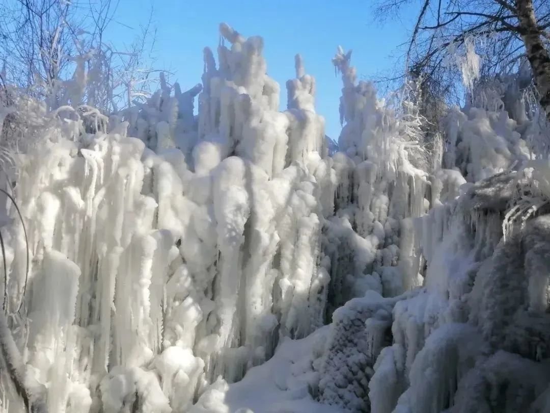 康樂縣白樺林景區