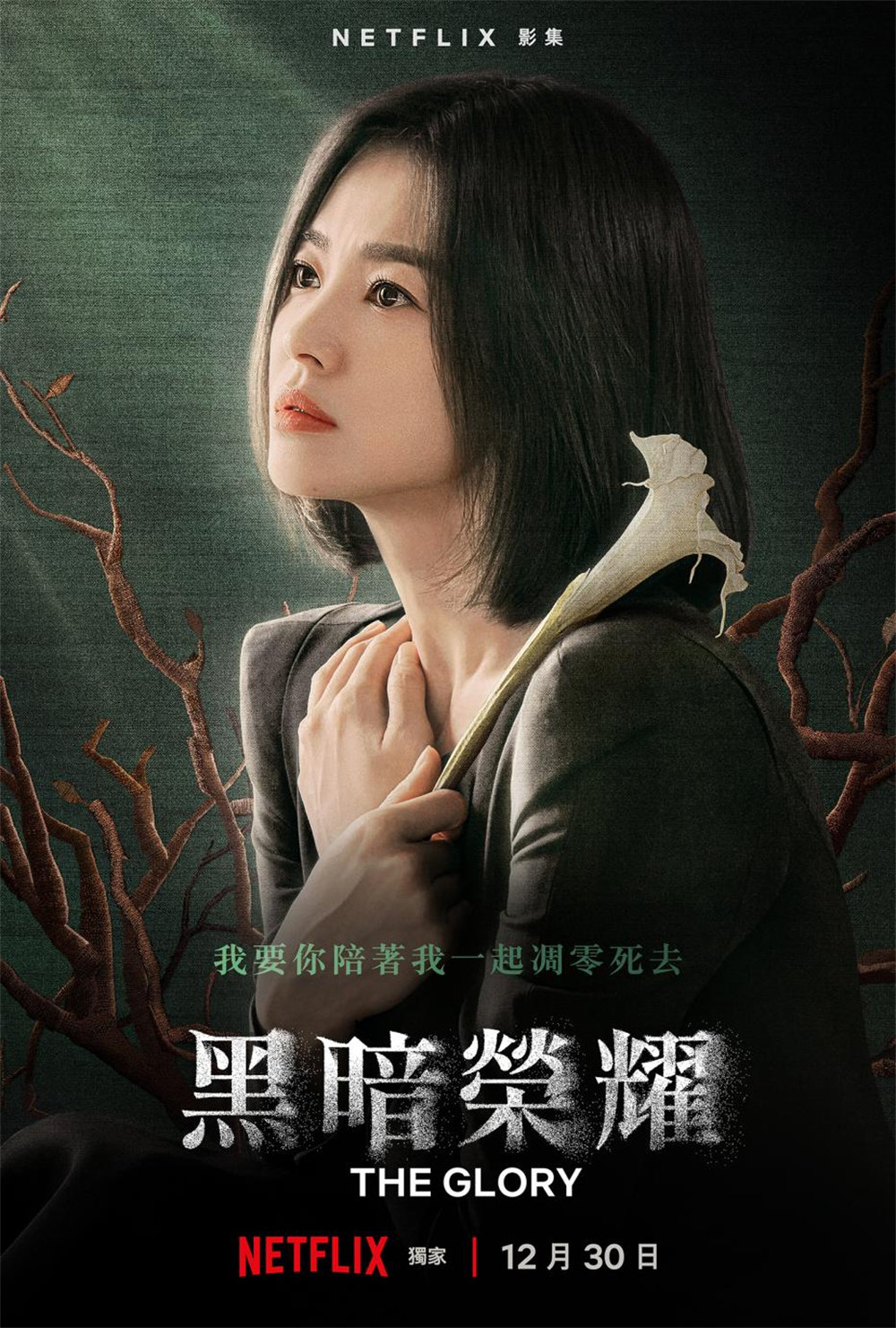 《黑暗荣耀》海报